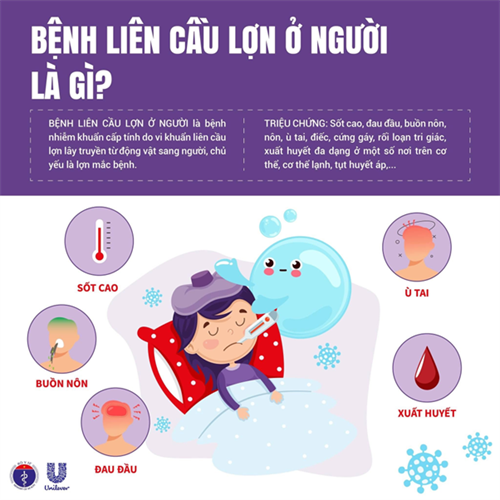 CHỦ ĐỘNG PHÒNG CHỐNG BỆNH LIÊN CẦU LỢN